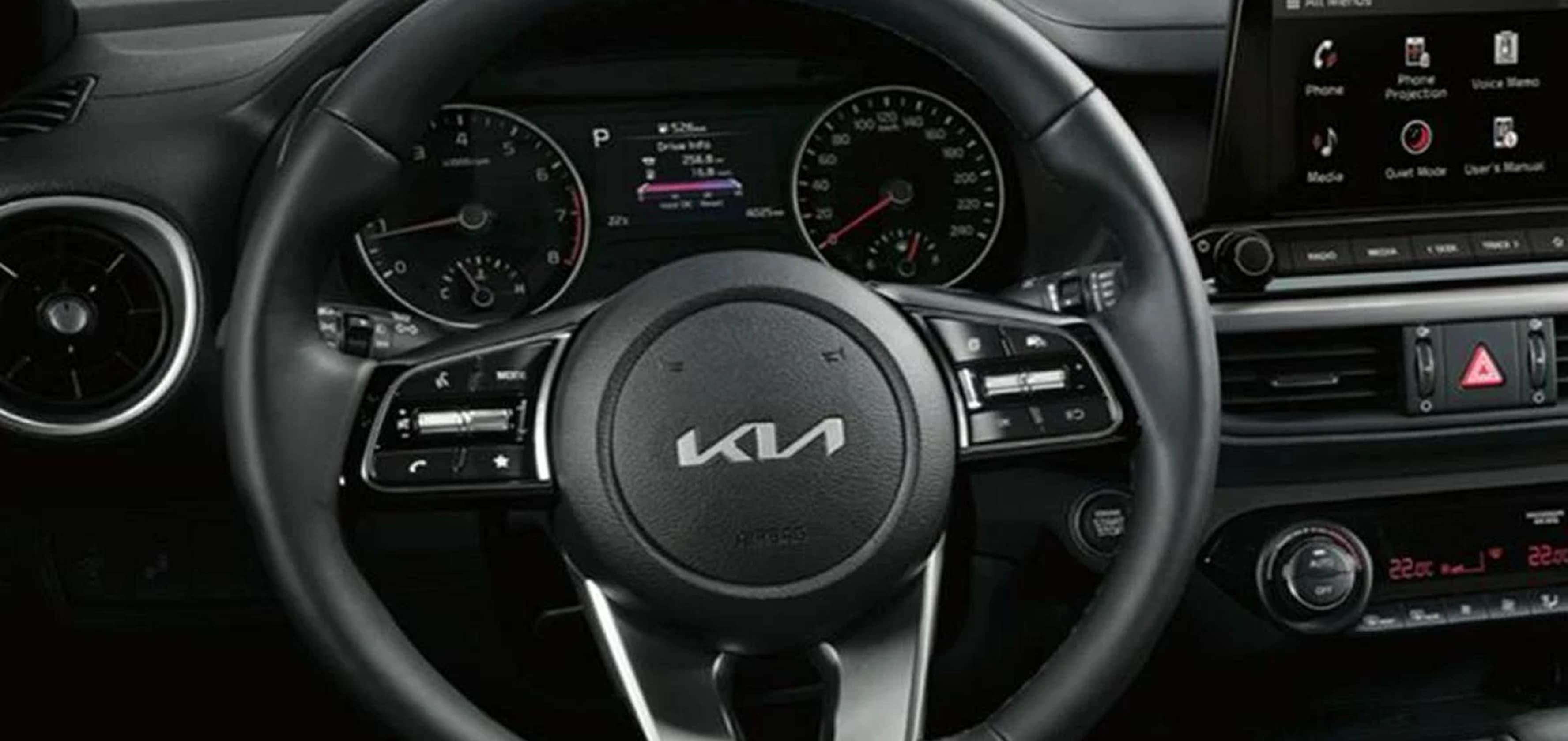 Cerato
