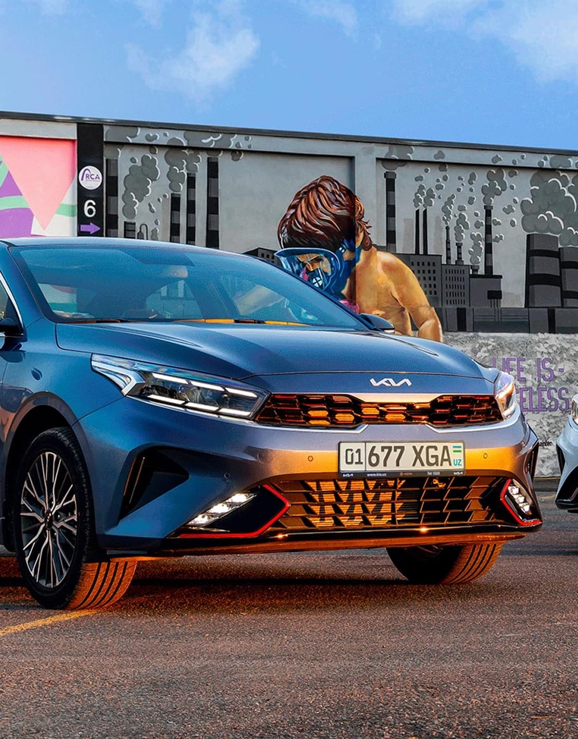 Cerato