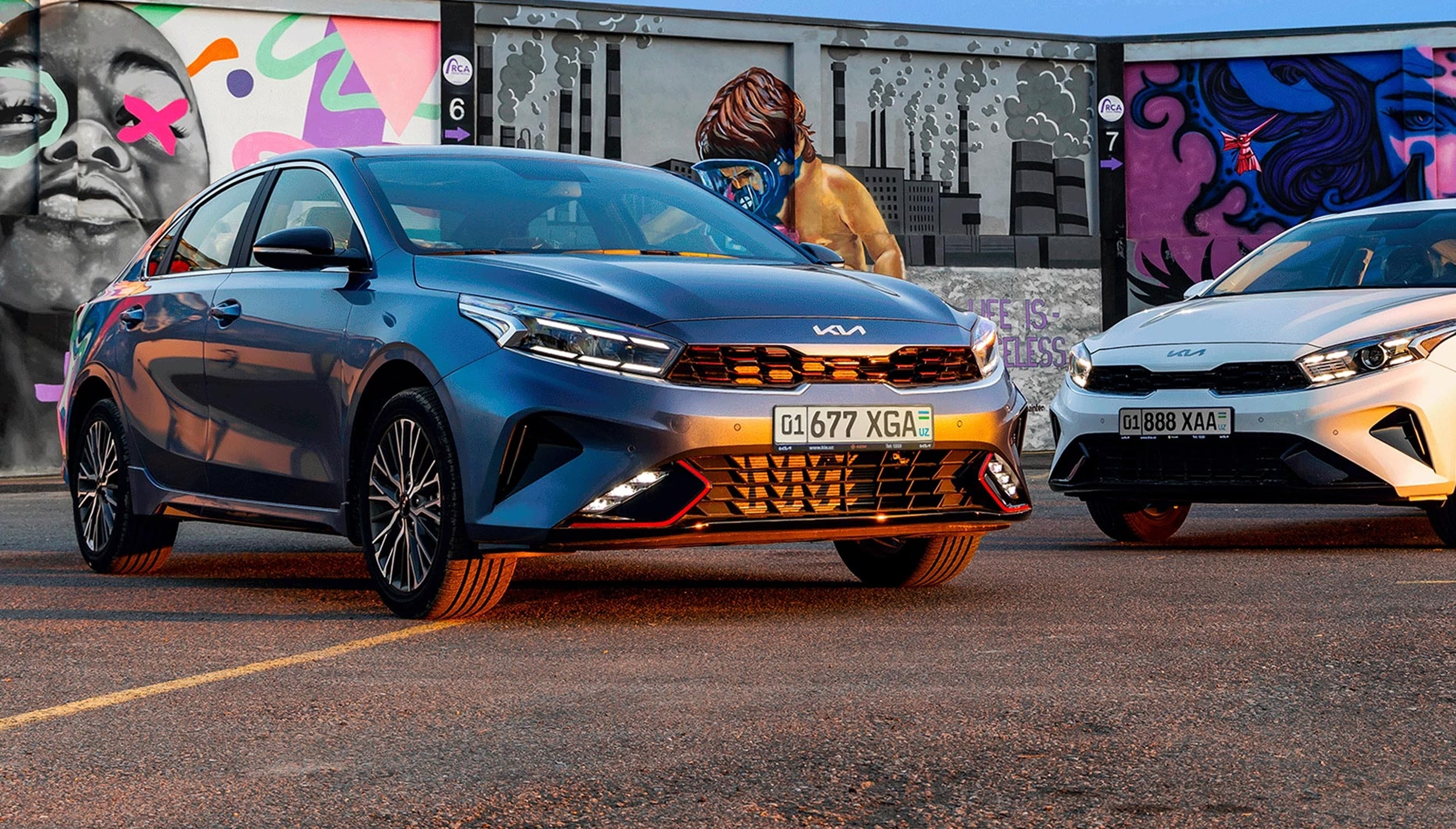 Cerato